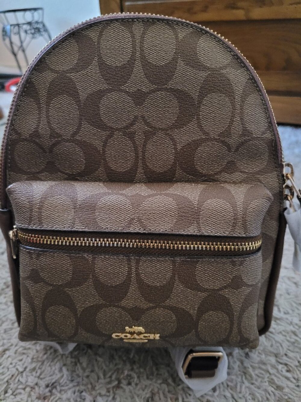 Coach Mini Charlie Backpack in Signature Canvas
